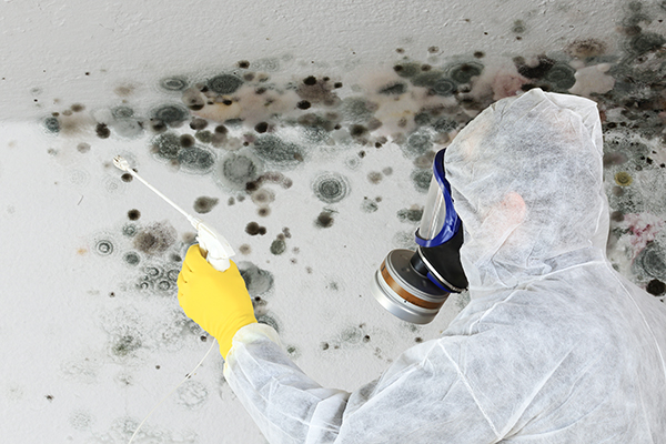 A,Man,Removing,Mold,Fungus,With,Respirator,Mask
